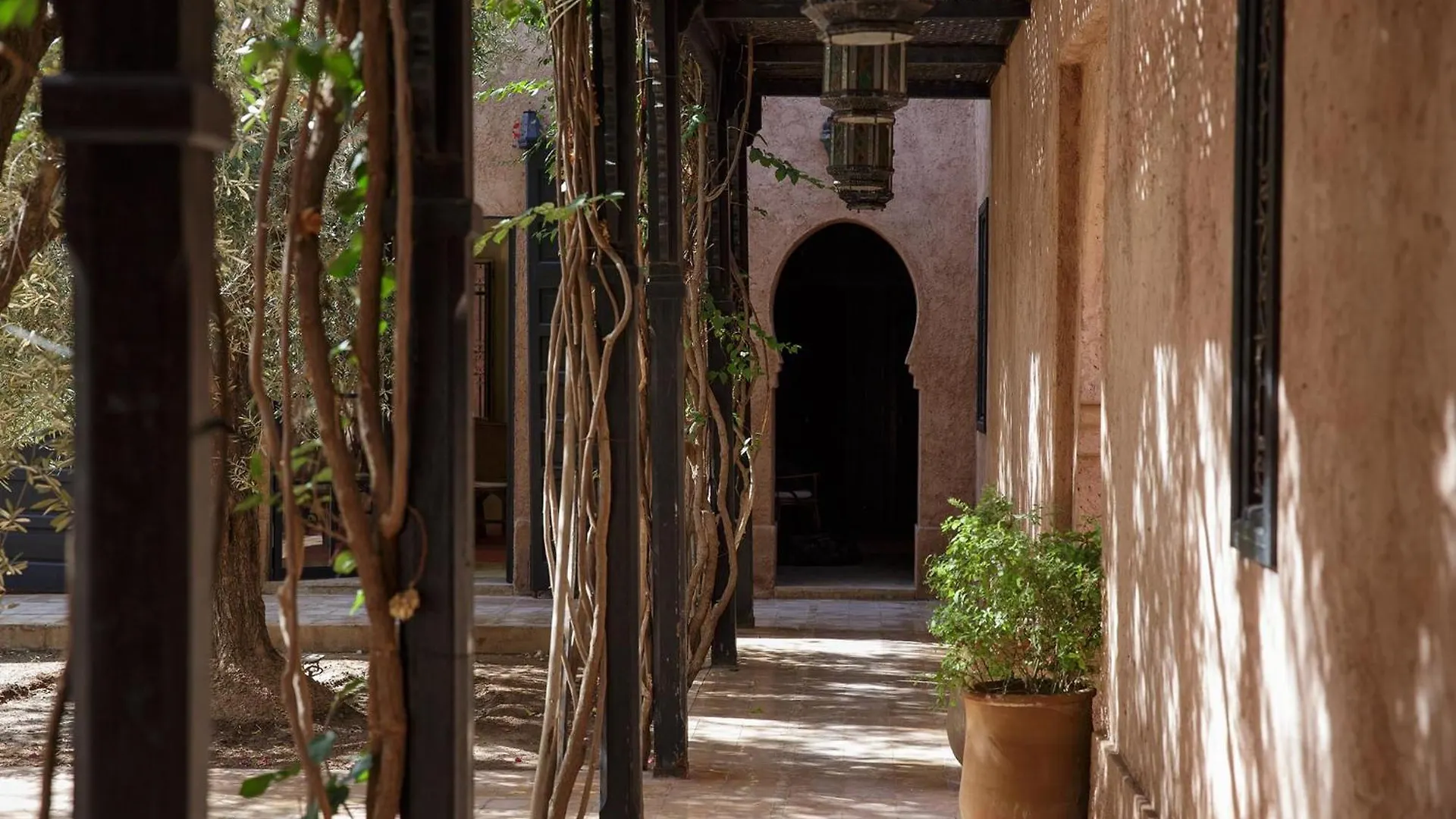 Villa Alouna En Exclusivite Avec Piscine Privee Dans La Palmeraie Marrakesh