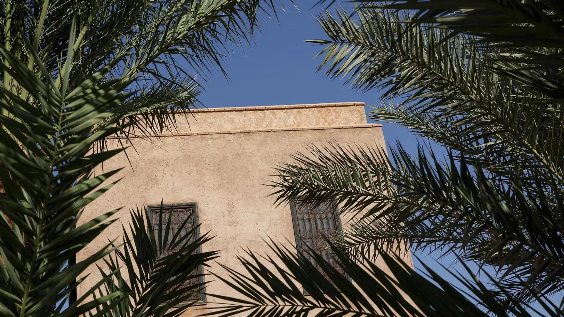 Villa Alouna En Exclusivite Avec Piscine Privee Dans La Palmeraie Marrakesh Morocco